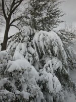 DSCN0151R.jpg