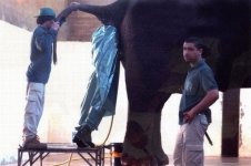 Worst-job-ever.jpg