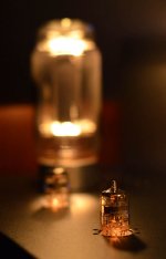 DSC_1405.JPG