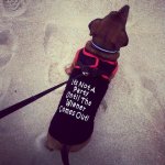 It's Not a Party Until the Wiener Comes Out.jpg