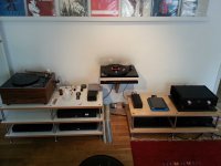 Willi Studio 1.jpg