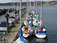 IMG_4448.jpg