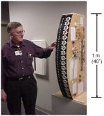 prototype.jpg