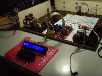 Display 009.jpg