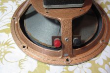 speaker 5.JPG