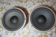 speaker 2.JPG
