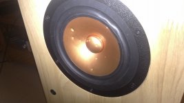 IMG_20130226_004213.jpg