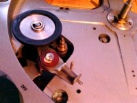 shieldmo19wheel.jpg