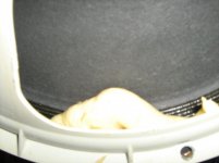 Feb 25 2013 019.jpg