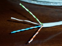 cat5.jpg