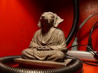Dachsnunds - Zen Dachshund.jpg