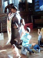 Dachshund being prayed to.jpg