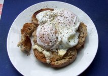 PoachedEggs.jpg
