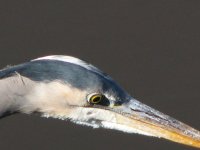 IMG_3709.jpg