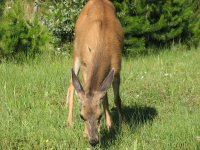 IMG_9455.jpg