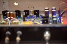DSC_1487.jpg