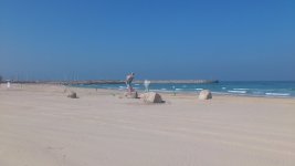 DSC_0012.jpg