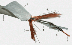 10550x.gif