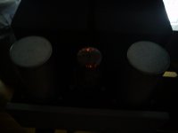 DSC00293.jpg