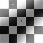 graysquares[1].jpg
