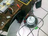 IMAG0685.jpg