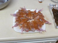 IMG_1674.jpg