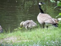IMG_1619.jpg