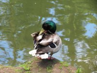 IMG_1632.jpg
