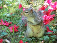 IMG_1658.jpg