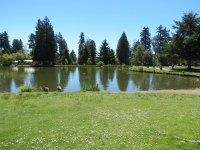 IMG_1670.jpg