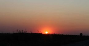 IMG_8901.jpg