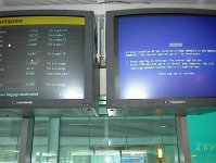 delayed.jpg