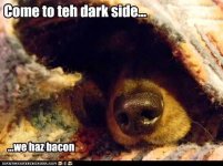 Come to the dark side.jpg