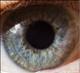 eye2.JPG