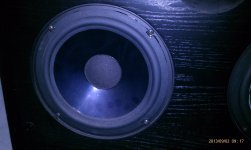 IMAG0917.jpg