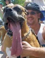 Tongue.jpg