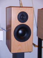 Mani-2 clone.jpg