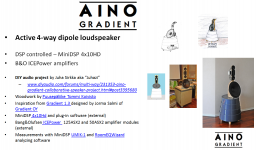 aino summary.png
