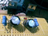 IMAG0487.jpg