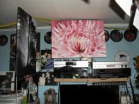SAM_0490.JPG