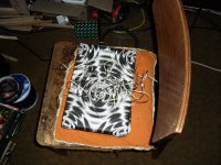 SAM_0561.JPG