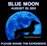 Blue Moon.jpg