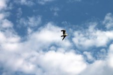 IMG_7639.jpg