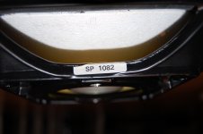 DSC_0010.JPG