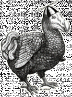 dummy Dodo.gif