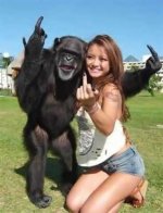 funny-monkey-joke_4542534525780489.jpg