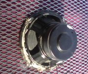 2 speaker on.jpg