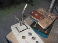 IMG_3781.jpg