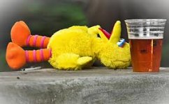 Big Bird passed out.jpg