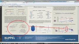 Klippel speaker radiation cone problems addon.jpg